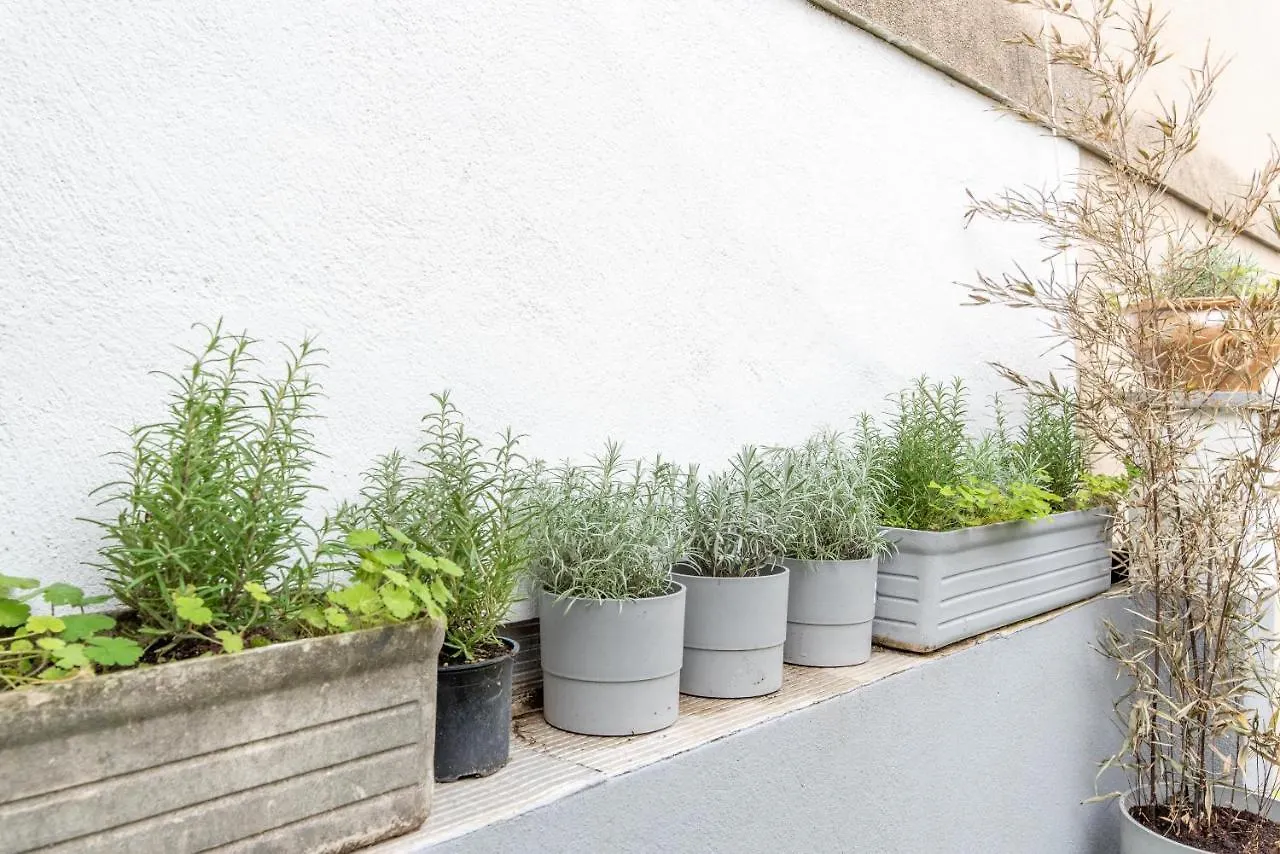 Apartment Studio Blancarde Terrasse Parking Clim Marseille